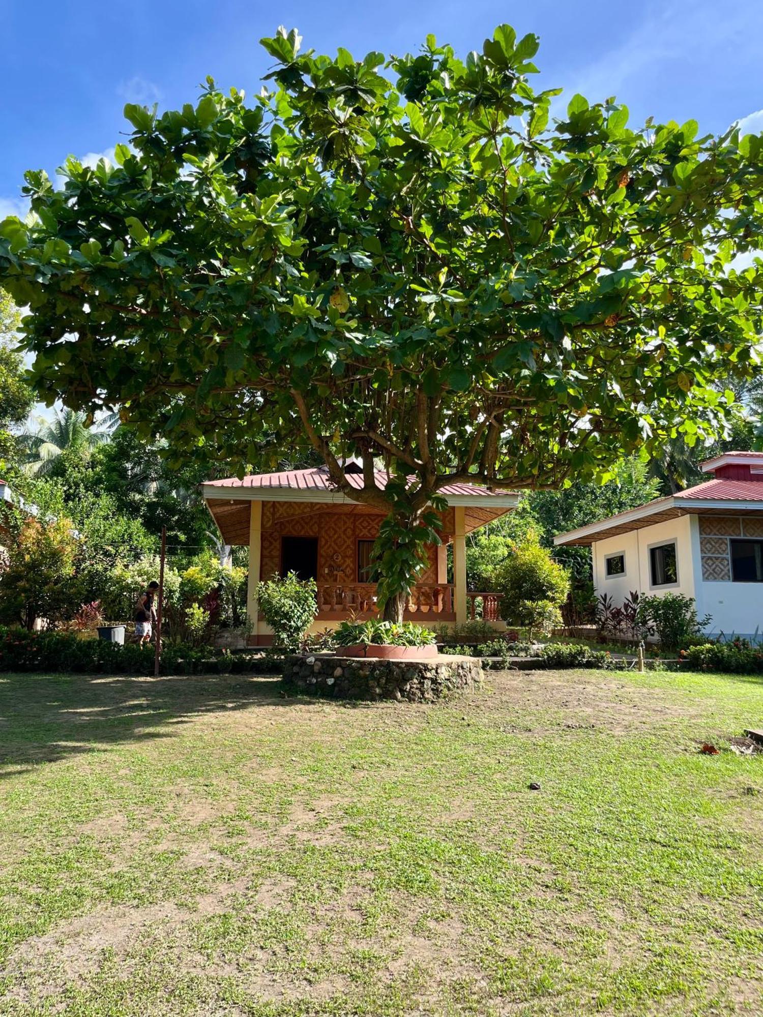 Paco'S Garden Home Stay Mambajao Exterior photo