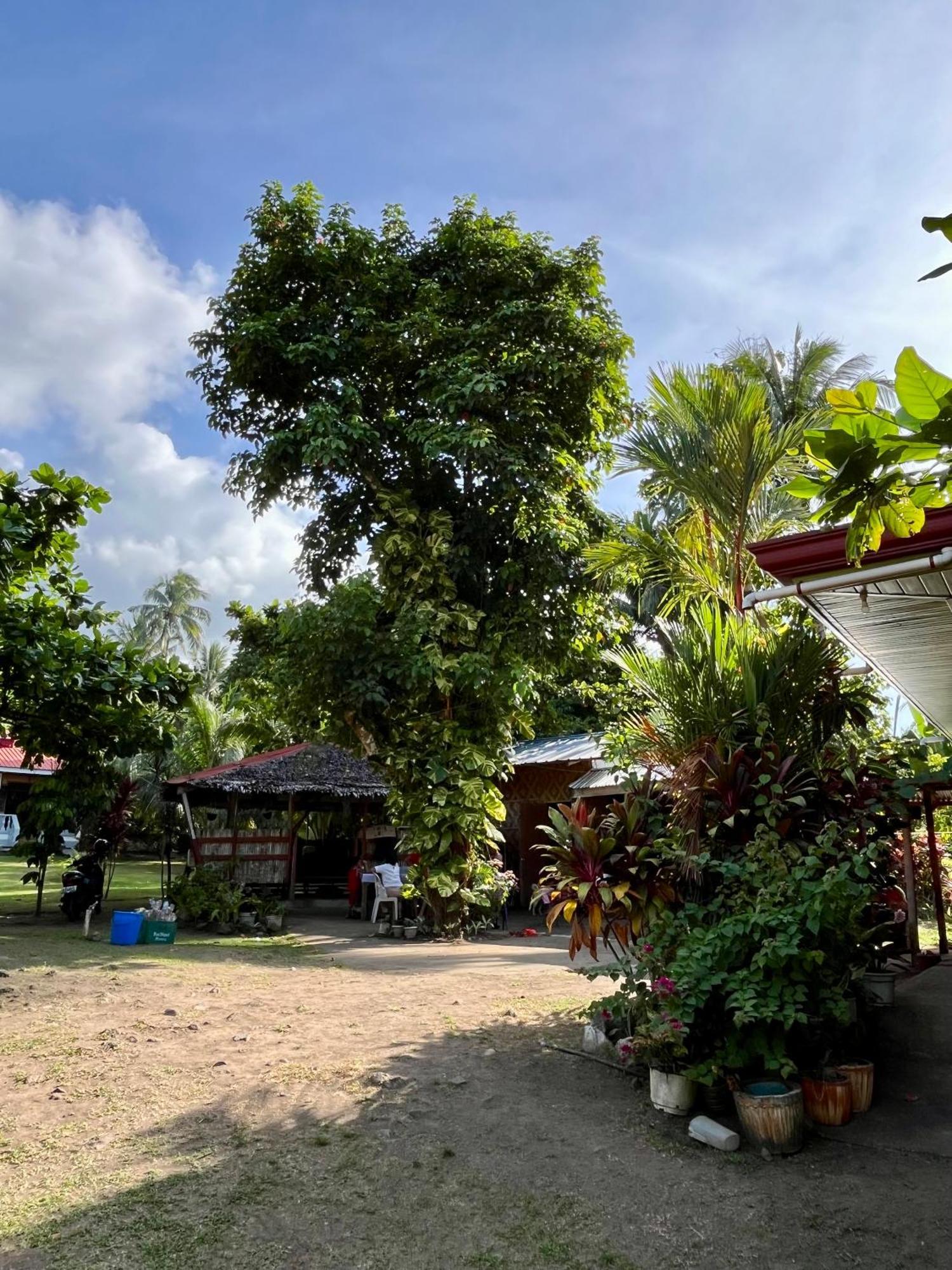 Paco'S Garden Home Stay Mambajao Exterior photo
